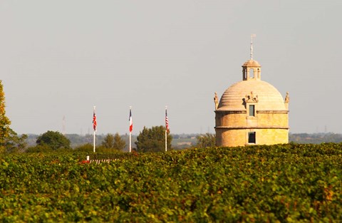Framed Tower and Flags of Chateau Latour Vineyard Print