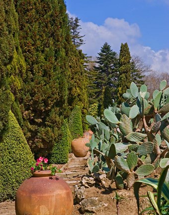 Framed Botanical Garden in Balchik Print