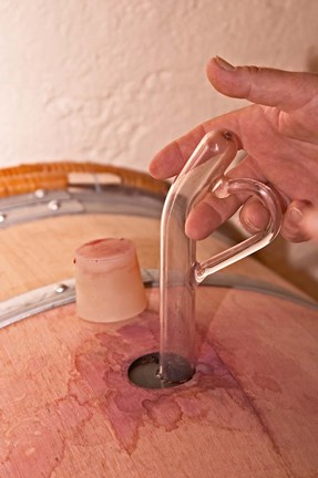 Framed Wine Pipette, Chateau La Grave Figeac, France Print