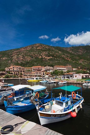 Framed Town Harbor of Porto Print