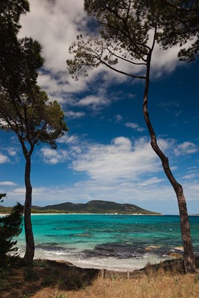 Framed Plage de Palombaggia Beach, Porto Vecchio Print