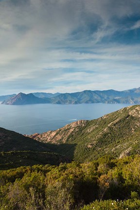 Framed Golfe de Porto Gulf Print