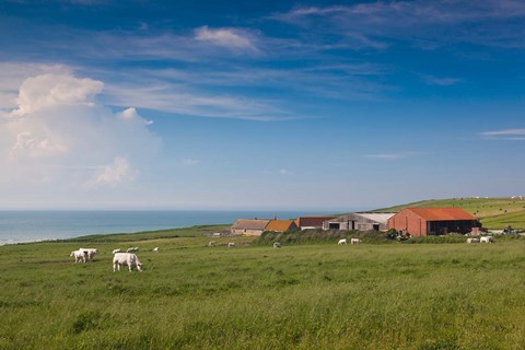 Framed Farm by Cap Blanc Nez, Escalles Print