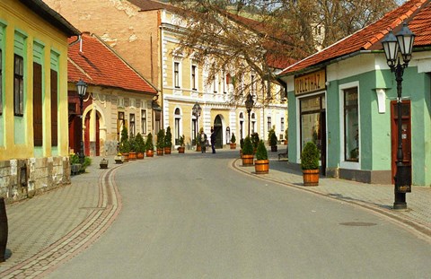 Framed Main Street, Tokaj, Hungary Print