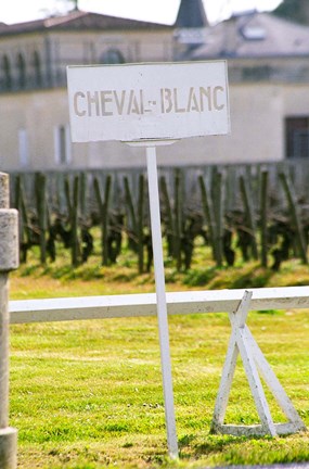 Framed Vineyard and Chateau Cheval Blanc Print