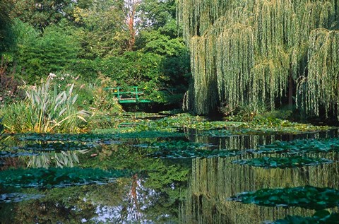 Framed Claude Monet&#39;s Garden Pond in Giverny, France Print