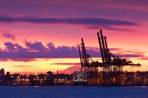 Framed Cargo Cranes, Port of Vancouver Print