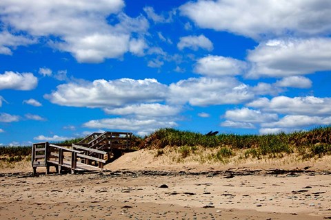 Framed Boardwalk at Martinique Beach Print