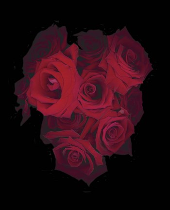 Framed Red Roses Print