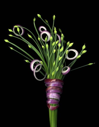 Framed Chive Blossoms &amp; Red Onion Print