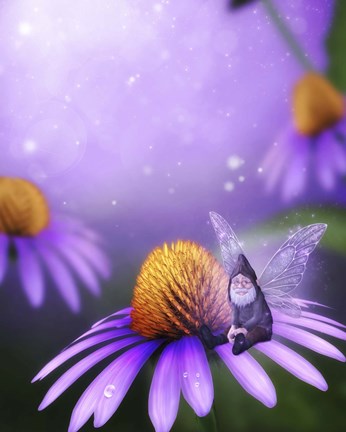 Framed Wise Fairy Print