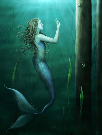 Framed Curiosity Print