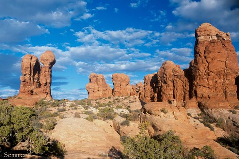 Framed Arches C Print