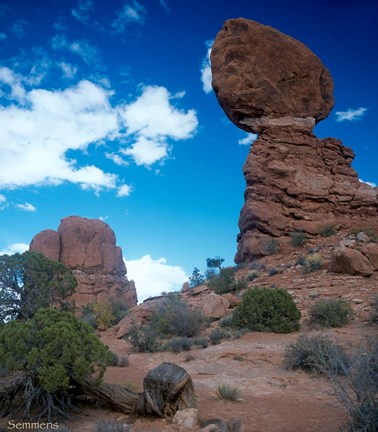 Framed Arches F Print