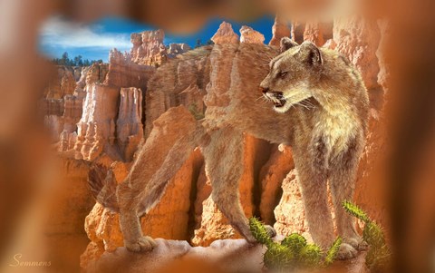 Framed Hidden Canyon 7 Print