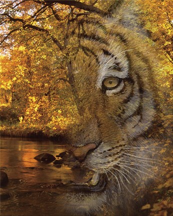 Framed Fade To Night Print