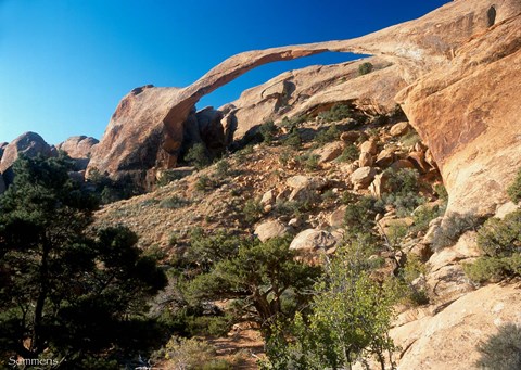 Framed Arches N Print