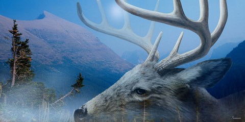 Framed Unbroken Print