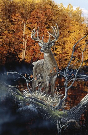 Framed Minnesota Autumn Print