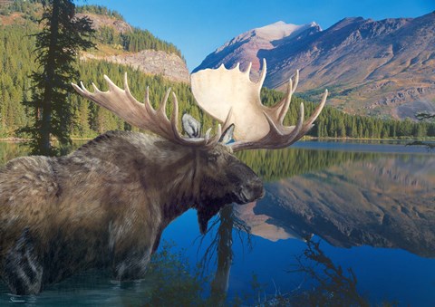 Framed Morning Time Print