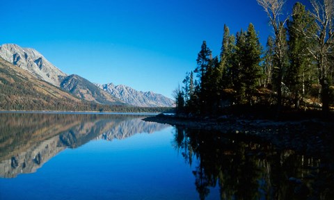 Framed Teton  B Print