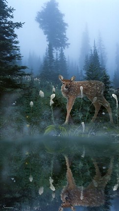 Framed Age Of Reflection Print