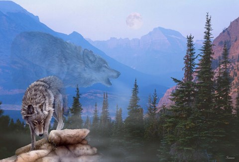 Framed Night Calls Print