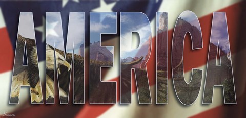 Framed America 2 Print