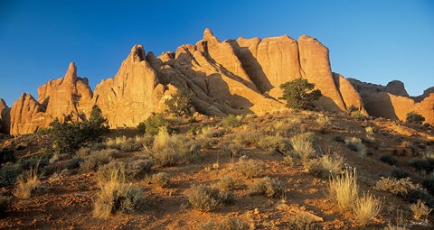 Framed Arches L Print