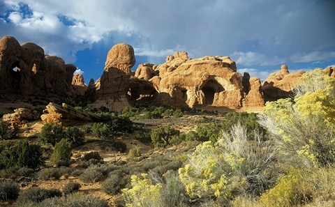 Framed Arches I Print