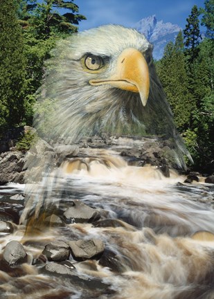 Framed From Above Print