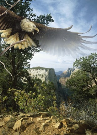 Framed Above The Rim Print