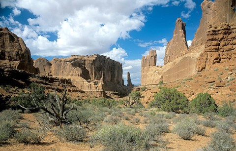 Framed Arches K Print