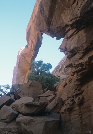 Framed Arches O Print