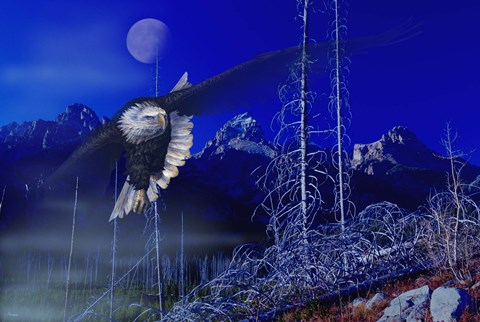 Framed Misty Moonlight Print