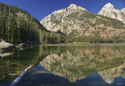 Framed Teton D Print
