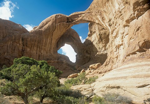 Framed Arches P Print