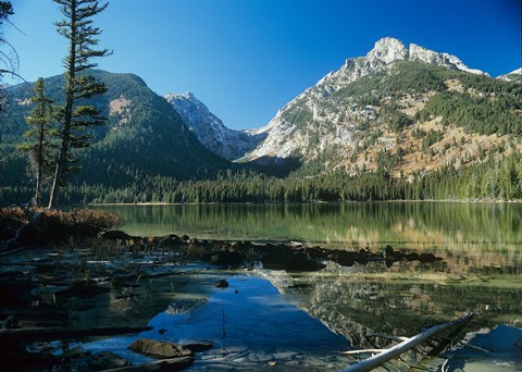 Framed Teton N Print