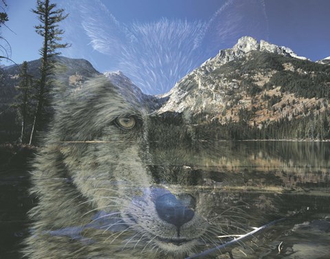 Framed Moments Past Print