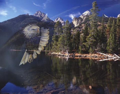 Framed Phantom Print