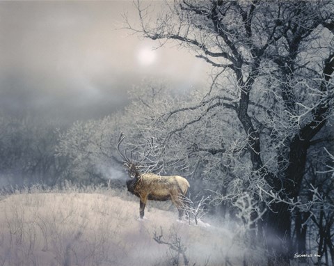 Framed Sanctuary Print