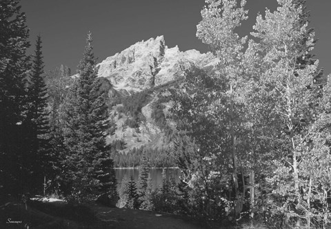 Framed Teton 4 Print