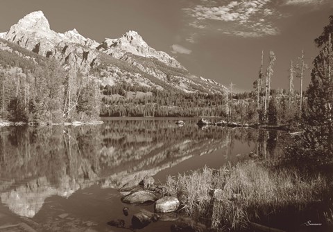 Framed Sepia Teton 1 Print