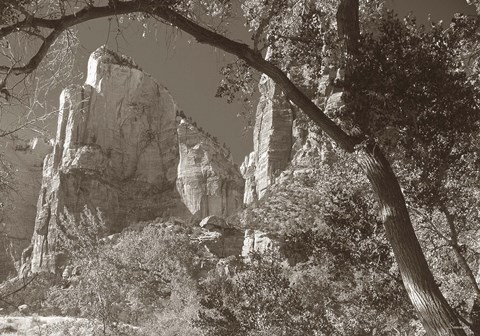 Framed Sepia Zion 2 Print