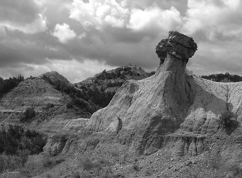 Framed Theodore Roosevelt National Print