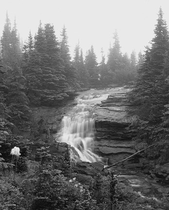 Framed Falls 1 Print