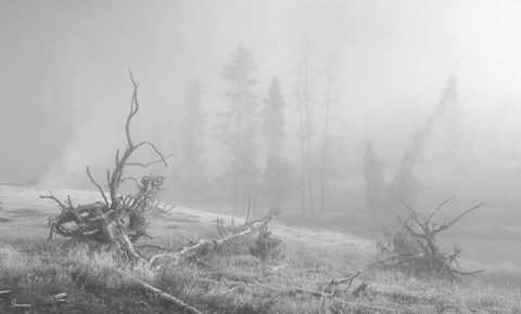 Framed Yellowstone 3 Print