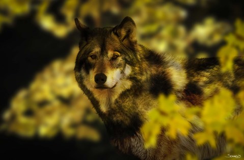 Framed Gold Shadows Print