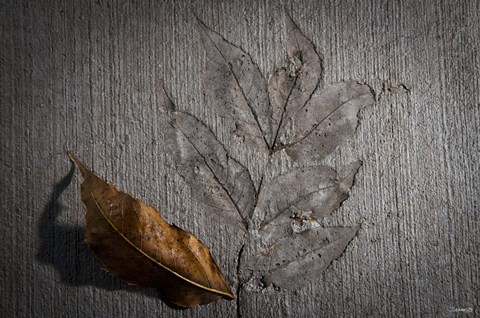 Framed Cement Autumn 1283 Print