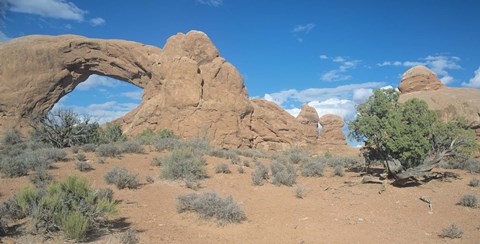 Framed Arches 21 Print